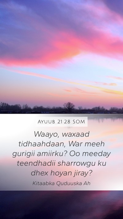 Ayuub 21:28 SOM Bible Verse Image