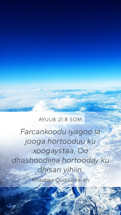 Ayuub 21:8 SOM Bible Verse Image