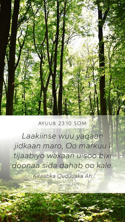 Ayuub 23:10 SOM Bible Verse Image