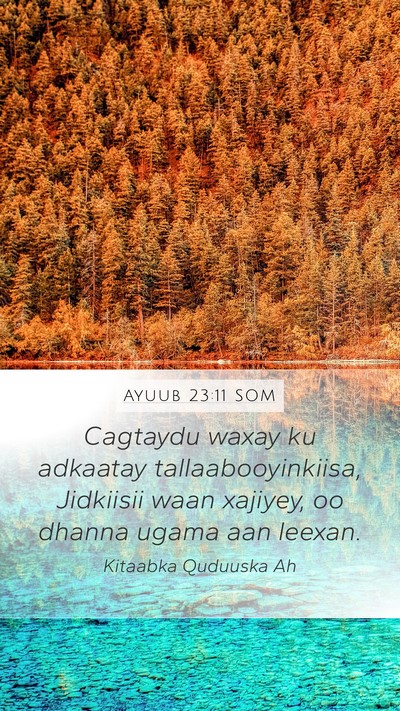 Ayuub 23:11 SOM Bible Verse Image