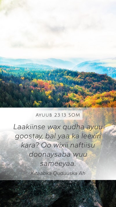 Ayuub 23:13 SOM Bible Verse Image