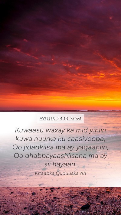 Ayuub 24:13 SOM Bible Verse Image