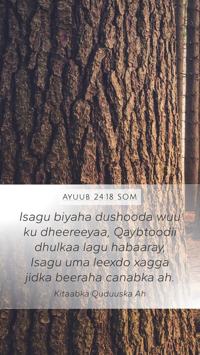 Ayuub 24:18 SOM Bible Verse Image
