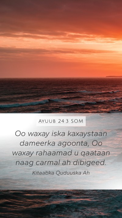 Ayuub 24:3 SOM Bible Verse Image