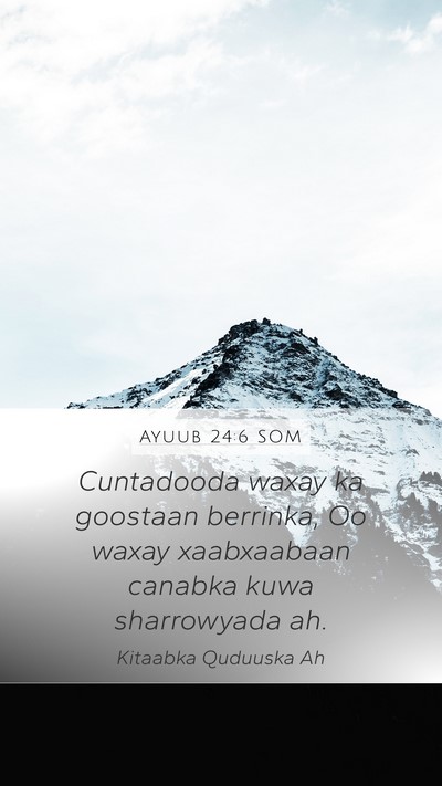 Ayuub 24:6 SOM Mobile Phone Wallpaper - Cuntadooda waxay ka goostaan berrinka, Oo waxay - Mobile Bible Verse Wallpaper