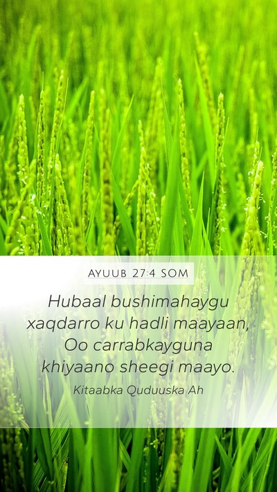 Ayuub 27:4 SOM Bible Verse Image