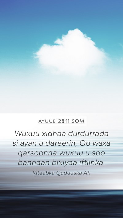 Ayuub 28:11 SOM Bible Verse Image