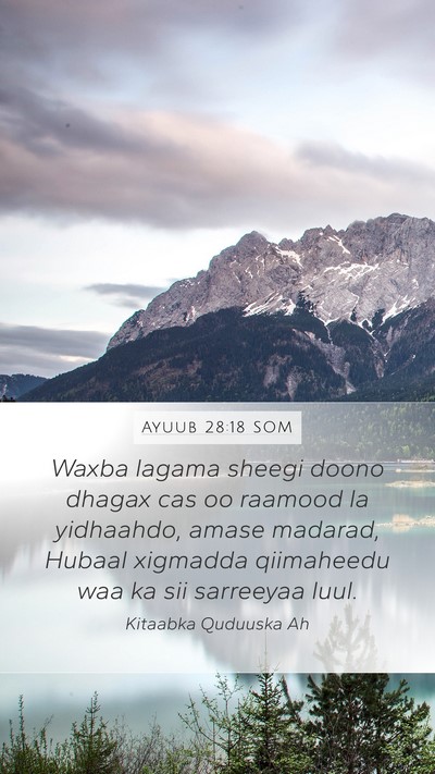 Ayuub 28:18 SOM Bible Verse Image
