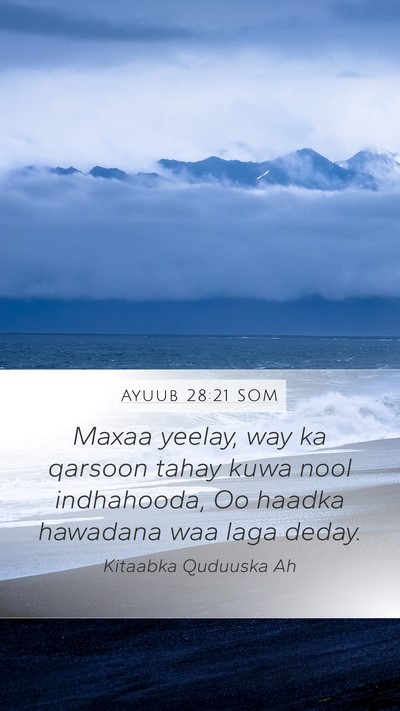 Ayuub 28:21 SOM Bible Verse Image