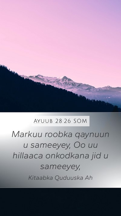 Ayuub 28:26 SOM Bible Verse Image