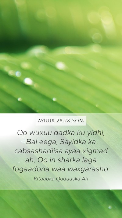 Ayuub 28:28 SOM Bible Verse Image