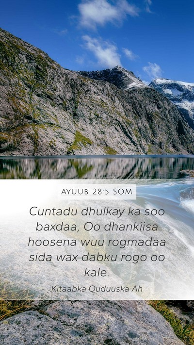 Ayuub 28:5 SOM Bible Verse Image