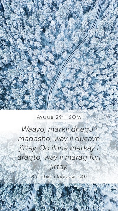 Ayuub 29:11 SOM Mobile Phone Wallpaper - Waayo, markii dhegu i maqasho, way ii ducayn - Mobile Bible Verse Wallpaper