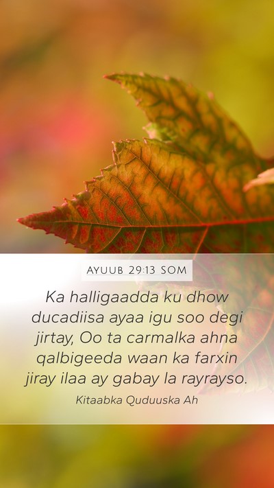 Ayuub 29:13 SOM Bible Verse Image