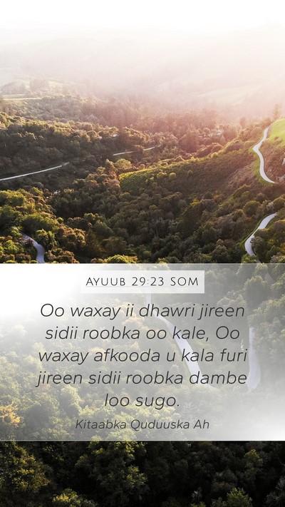 Ayuub 29:23 SOM Bible Verse Image