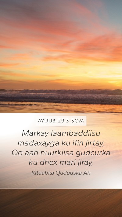 Ayuub 29:3 SOM Bible Verse Image