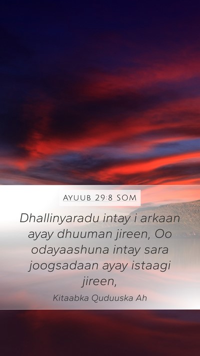 Ayuub 29:8 SOM Mobile Phone Wallpaper - Dhallinyaradu intay i arkaan ayay dhuuman jireen, - Mobile Bible Verse Wallpaper