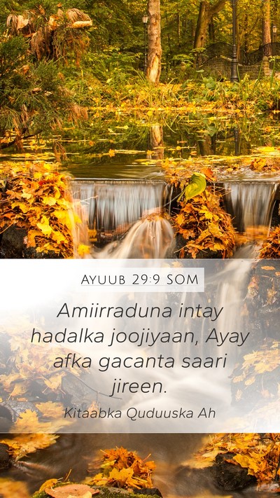 Ayuub 29:9 SOM Bible Verse Image