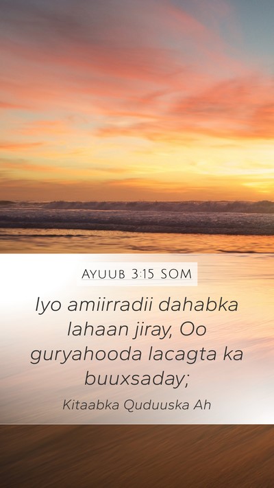 Ayuub 3:15 SOM Mobile Phone Wallpaper - Iyo amiirradii dahabka lahaan jiray, Oo - Mobile Bible Verse Wallpaper