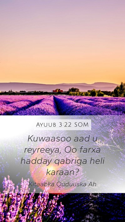 Ayuub 3:22 SOM Bible Verse Image