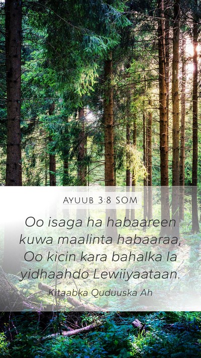 Ayuub 3:8 SOM Bible Verse Image
