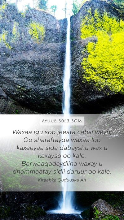Ayuub 30:15 SOM Bible Verse Image