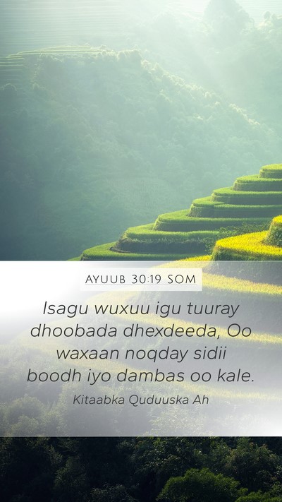 Ayuub 30:19 SOM Bible Verse Image