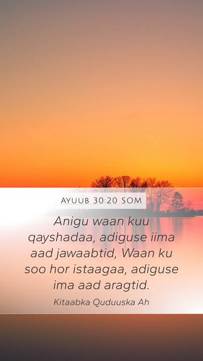 Ayuub 30:20 SOM Bible Verse Image