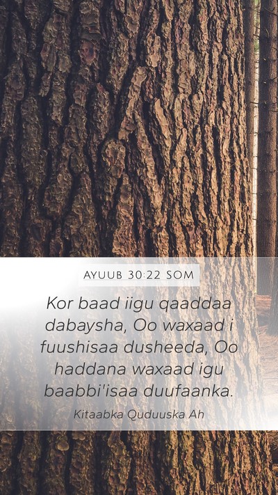 Ayuub 30:22 SOM Mobile Phone Wallpaper - Kor baad iigu qaaddaa dabaysha, Oo waxaad i - Mobile Bible Verse Wallpaper
