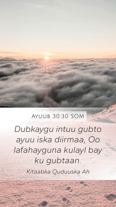 Ayuub 30:30 SOM Bible Verse Image