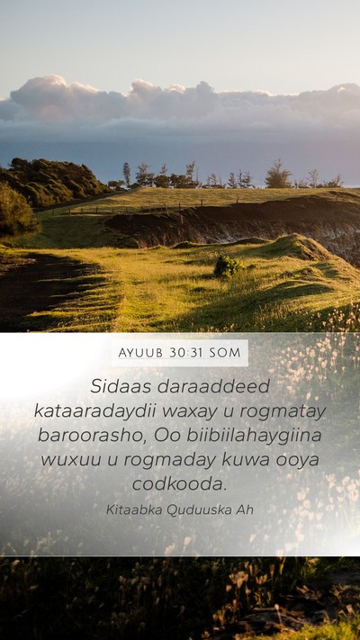 Ayuub 30:31 SOM Bible Verse Image