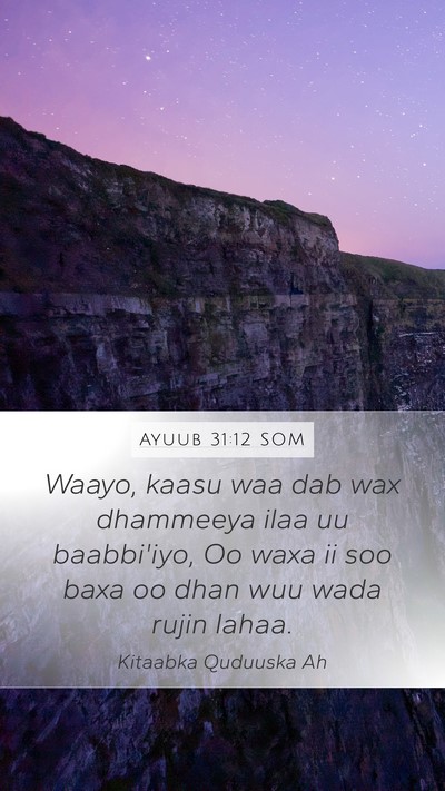 Ayuub 31:12 SOM Mobile Phone Wallpaper - Waayo, kaasu waa dab wax dhammeeya ilaa uu - Mobile Bible Verse Wallpaper