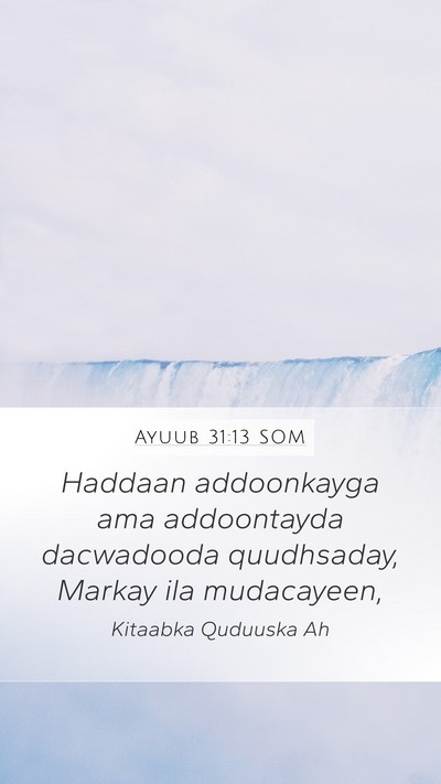 Ayuub 31:13 SOM Bible Verse Image