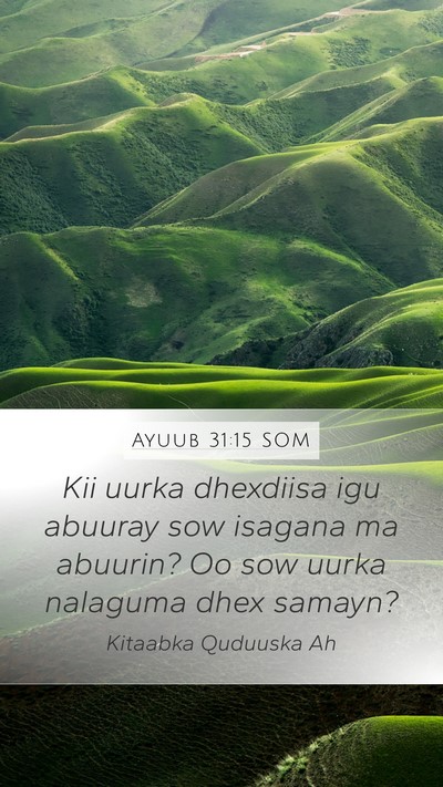 Ayuub 31:15 SOM Bible Verse Image