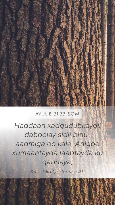 Ayuub 31:33 SOM Bible Verse Image