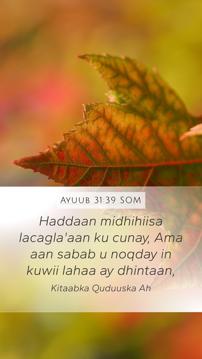 Ayuub 31:39 SOM Bible Verse Image