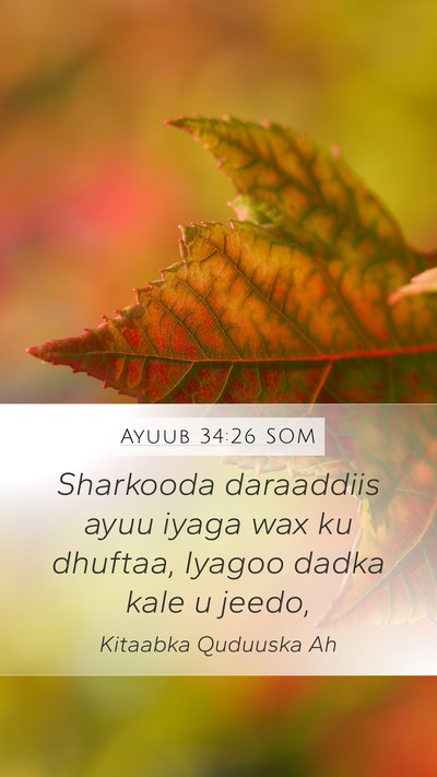 Ayuub 34:26 SOM Bible Verse Image