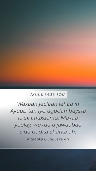Ayuub 34:36 SOM Bible Verse Image