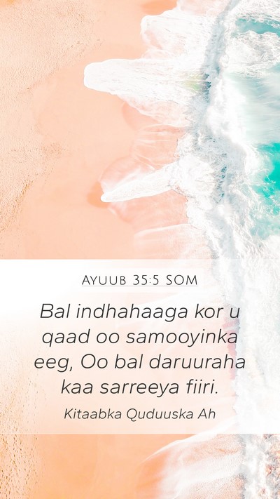 Ayuub 35:5 SOM Bible Verse Image