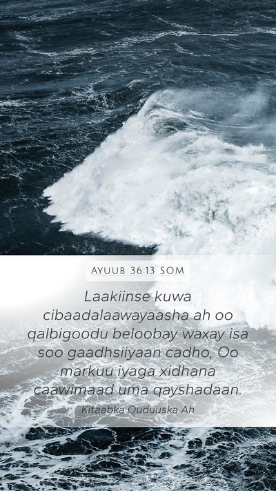 Ayuub 36:13 SOM Bible Verse Image
