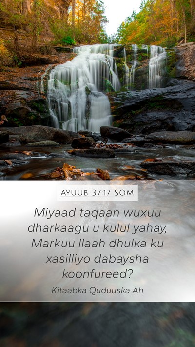 Ayuub 37:17 SOM Bible Verse Image