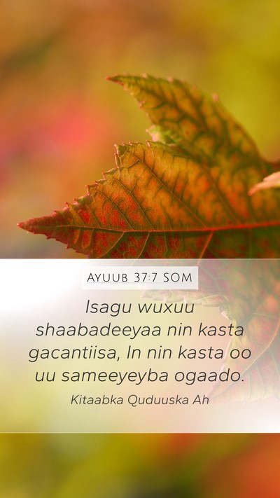 Ayuub 37:7 SOM Bible Verse Image