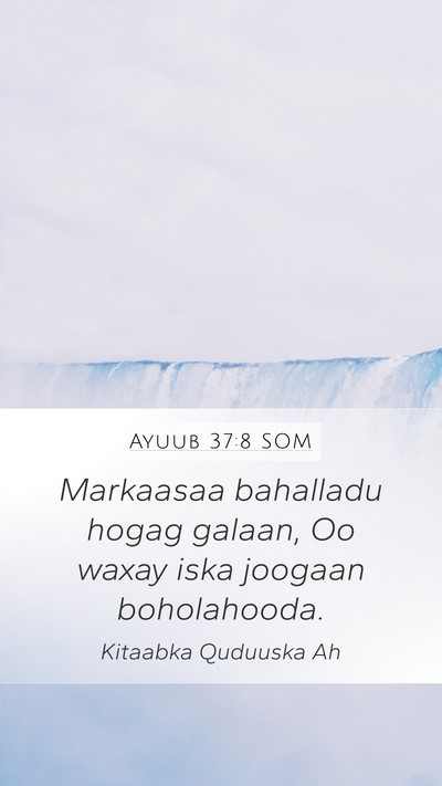 Ayuub 37:8 SOM Bible Verse Image