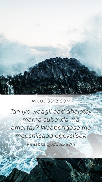 Ayuub 38:12 SOM Bible Verse Image
