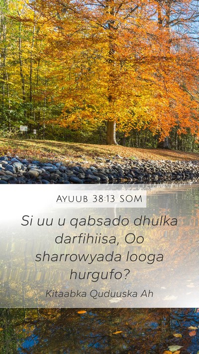 Ayuub 38:13 SOM Mobile Phone Wallpaper - Si uu u qabsado dhulka darfihiisa, Oo sharrowyada - Mobile Bible Verse Wallpaper