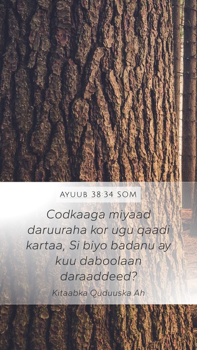 Ayuub 38:34 SOM Bible Verse Image