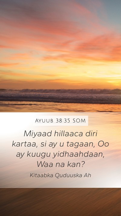 Ayuub 38:35 SOM Mobile Phone Wallpaper - Miyaad hillaaca diri kartaa, si ay u tagaan, Oo - Mobile Bible Verse Wallpaper