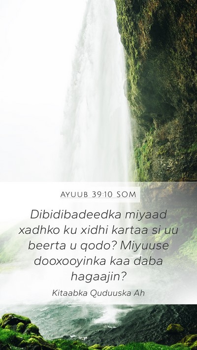 Ayuub 39:10 SOM Mobile Phone Wallpaper - Dibidibadeedka miyaad xadhko ku xidhi kartaa si - Mobile Bible Verse Wallpaper