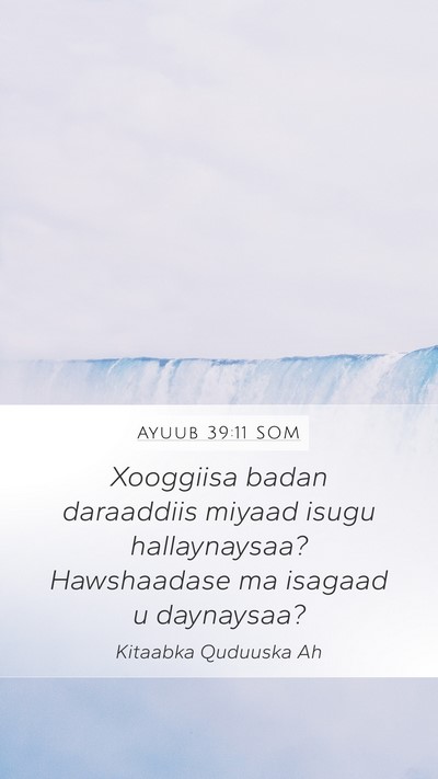 Ayuub 39:11 SOM Mobile Phone Wallpaper - Xooggiisa badan daraaddiis miyaad isugu - Mobile Bible Verse Wallpaper
