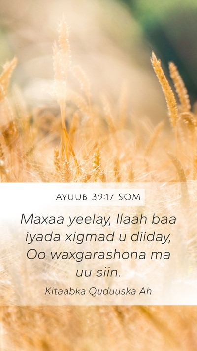 Ayuub 39:17 SOM Bible Verse Image